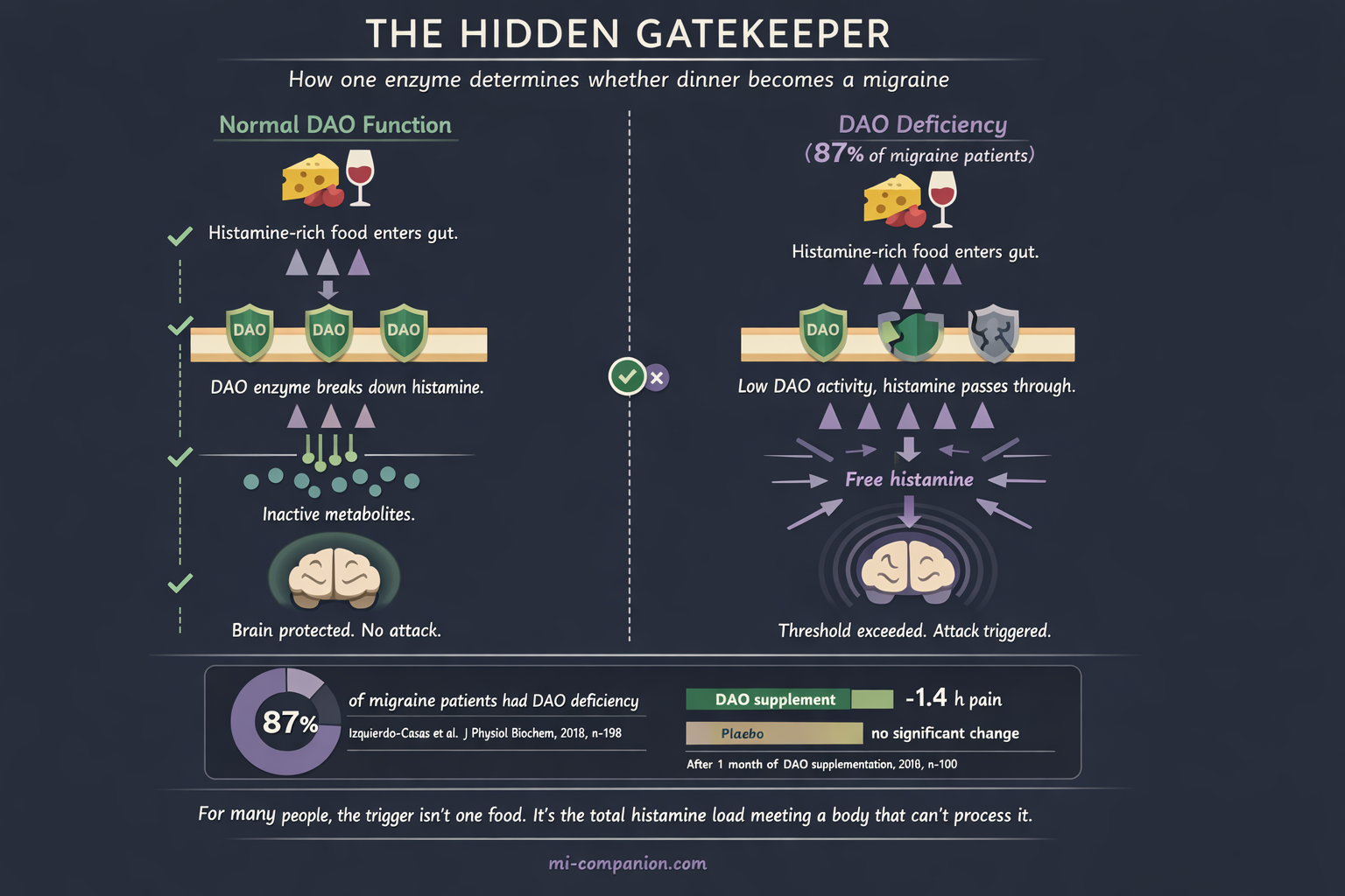 The Hidden Gatekeeper — infographic comparing normal DAO function versus DAO deficiency, showing how histamine from food passes through unchecked when DAO enzymes are insufficient, with 87% statistic and RCT data