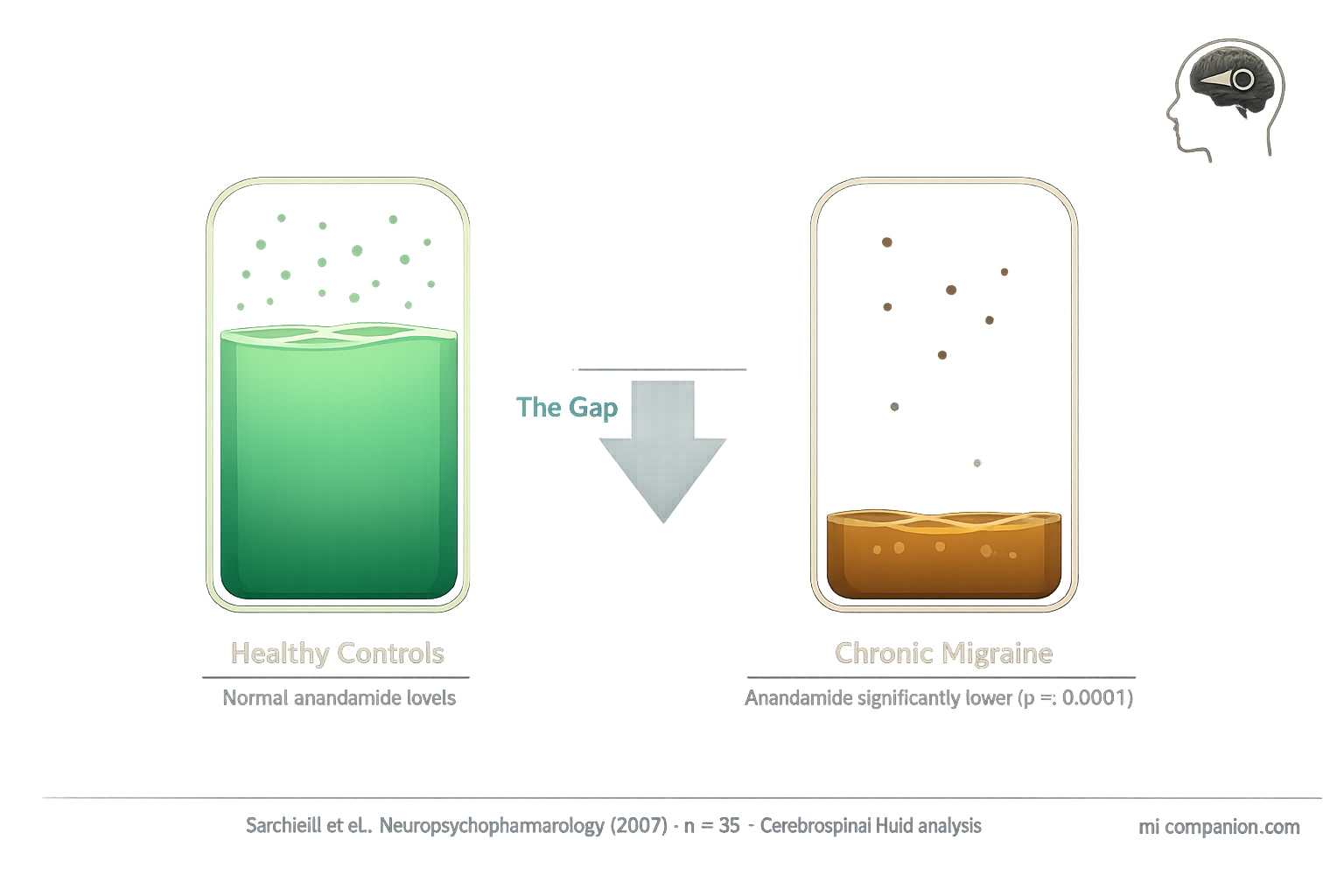 Data visualization showing two stylized reservoirs — one filled to 75% in green representing healthy anandamide levels, the other filled to only 20% in amber representing chronic migraine levels — with a downward arrow labeled The Gap between them
