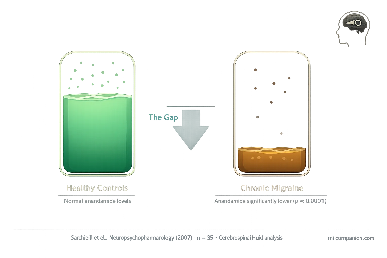 Data visualization showing two stylized reservoirs — one filled to 75% in green representing healthy anandamide levels, the other filled to only 20% in amber representing chronic migraine levels — with a downward arrow labeled The Gap between them