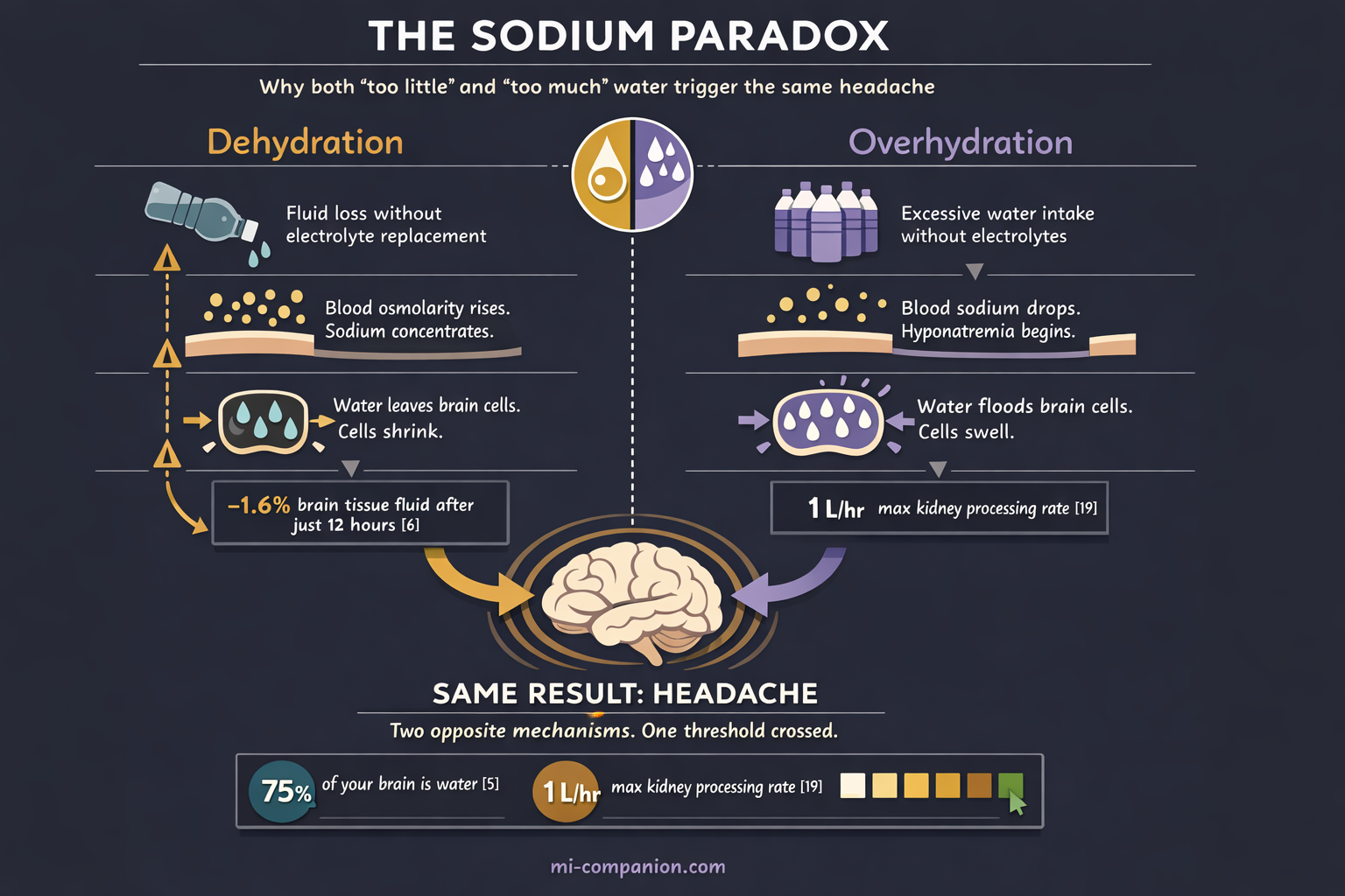 The Sodium Paradox infographic — two parallel pathways showing how dehydration (cells shrink) and overhydration (cells swell) both lead to the same result: headache