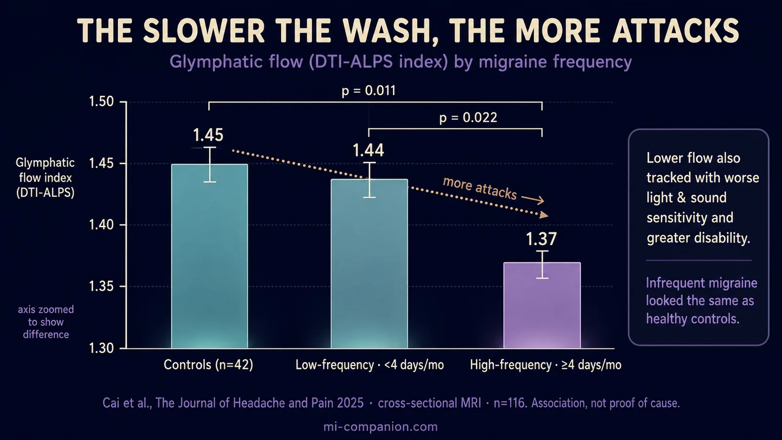 Column chart titled the slower the wash the more attacks, showing the glymphatic flow DTI-ALPS index by migraine frequency: healthy controls at 1.45 and infrequent migraine at 1.44 stand tall in teal, while frequent migraine at four or more days per month drops to 1.37 in lavender, with significance markers p equals 0.011 and p equals 0.022 and an honest note that the axis is zoomed to show the difference