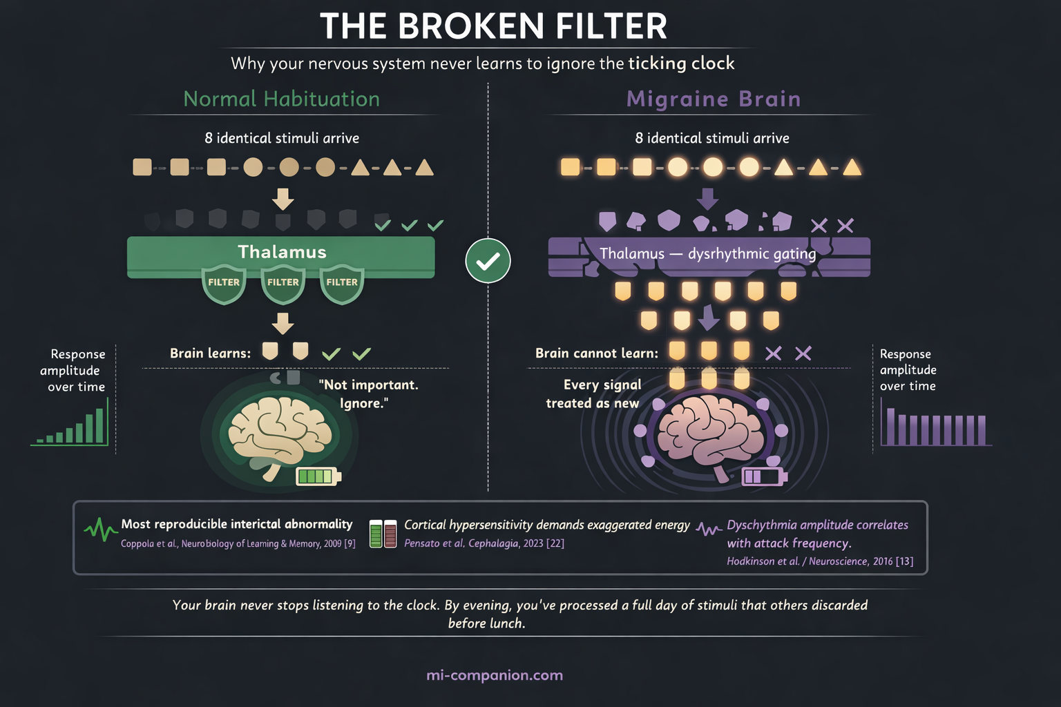The Broken Filter — side-by-side comparison showing how a normal brain habituates to repeated stimuli while the migraine brain processes every signal at full intensity