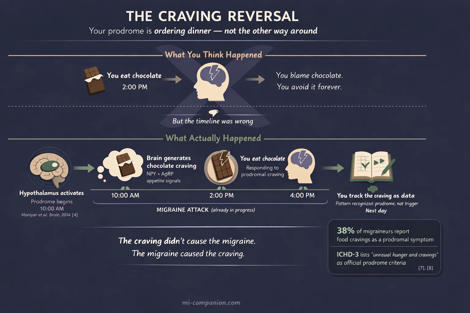 Infographic showing two timelines — the myth (you eat chocolate, migraine hits, you blame chocolate) versus the science (hypothalamus activates during prodrome, brain generates craving, you eat chocolate, headache follows as part of the same attack already in progress). Key insight: the craving didn't cause the migraine, the migraine caused the craving.