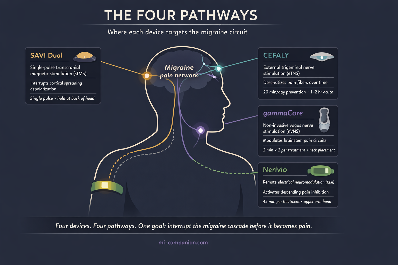 Scientific infographic showing a stylized human head and upper body silhouette with four highlighted nerve pathways: trigeminal nerve at forehead targeted by Cefaly, vagus nerve at neck targeted by gammaCore, upper arm targeted by Nerivio, and occipital cortex targeted by SAVI Dual, each with information cards describing the mechanism