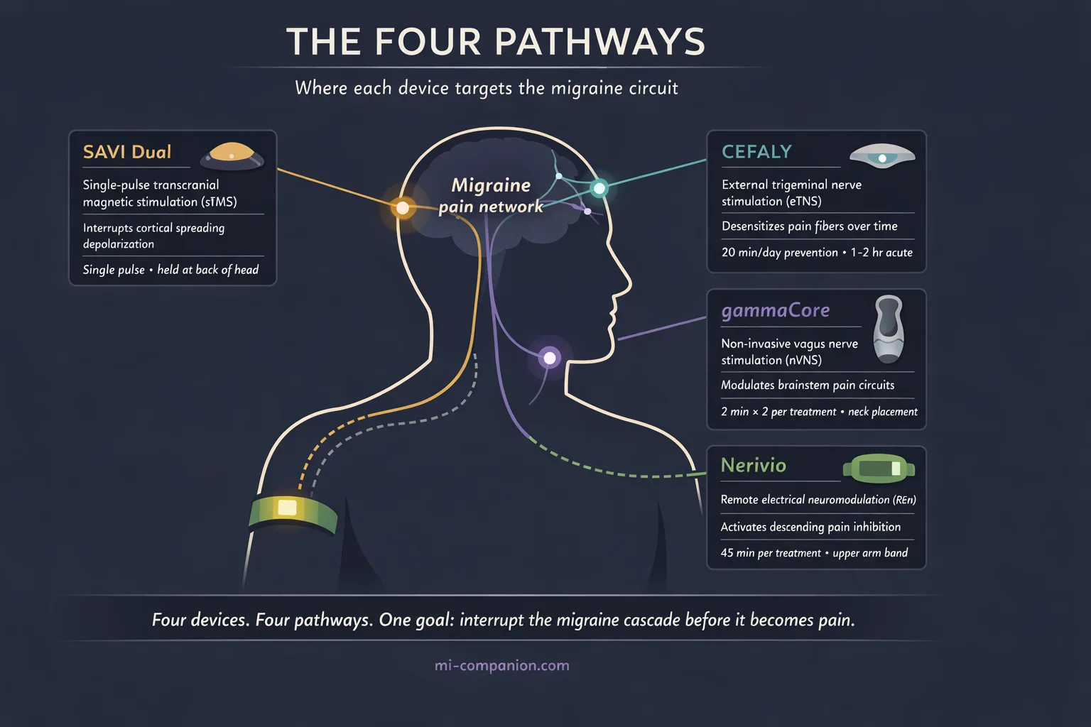 Scientific infographic showing a stylized human head and upper body silhouette with four highlighted nerve pathways: trigeminal nerve at forehead targeted by Cefaly, vagus nerve at neck targeted by gammaCore, upper arm targeted by Nerivio, and occipital cortex targeted by SAVI Dual, each with information cards describing the mechanism