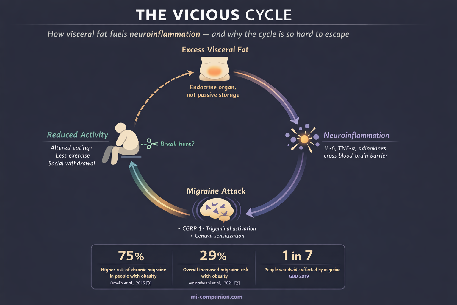 Scientific infographic showing the vicious cycle between excess visceral fat, neuroinflammation, migraine attack, and reduced activity, with data cards showing 75% higher chronic migraine risk in obesity, 29% overall increased risk, and 1 in 7 people worldwide affected by migraine