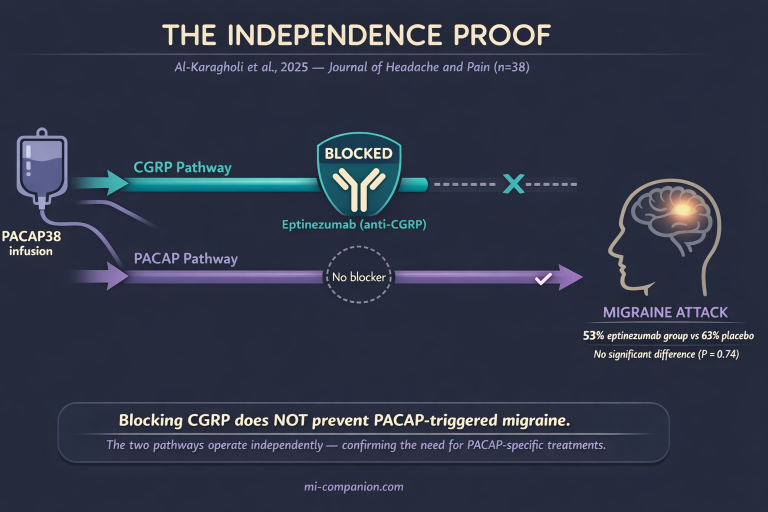 Scientific infographic showing the 2025 Al-Karagholi experiment: PACAP38 infusion splits into two pathways — the CGRP pathway is blocked by eptinezumab (marked with X), while the PACAP pathway passes through unimpeded (marked with checkmark) — both leading to a brain icon showing migraine attack occurred. Bottom bar reads: Blocking CGRP does NOT prevent PACAP-triggered migraine.
