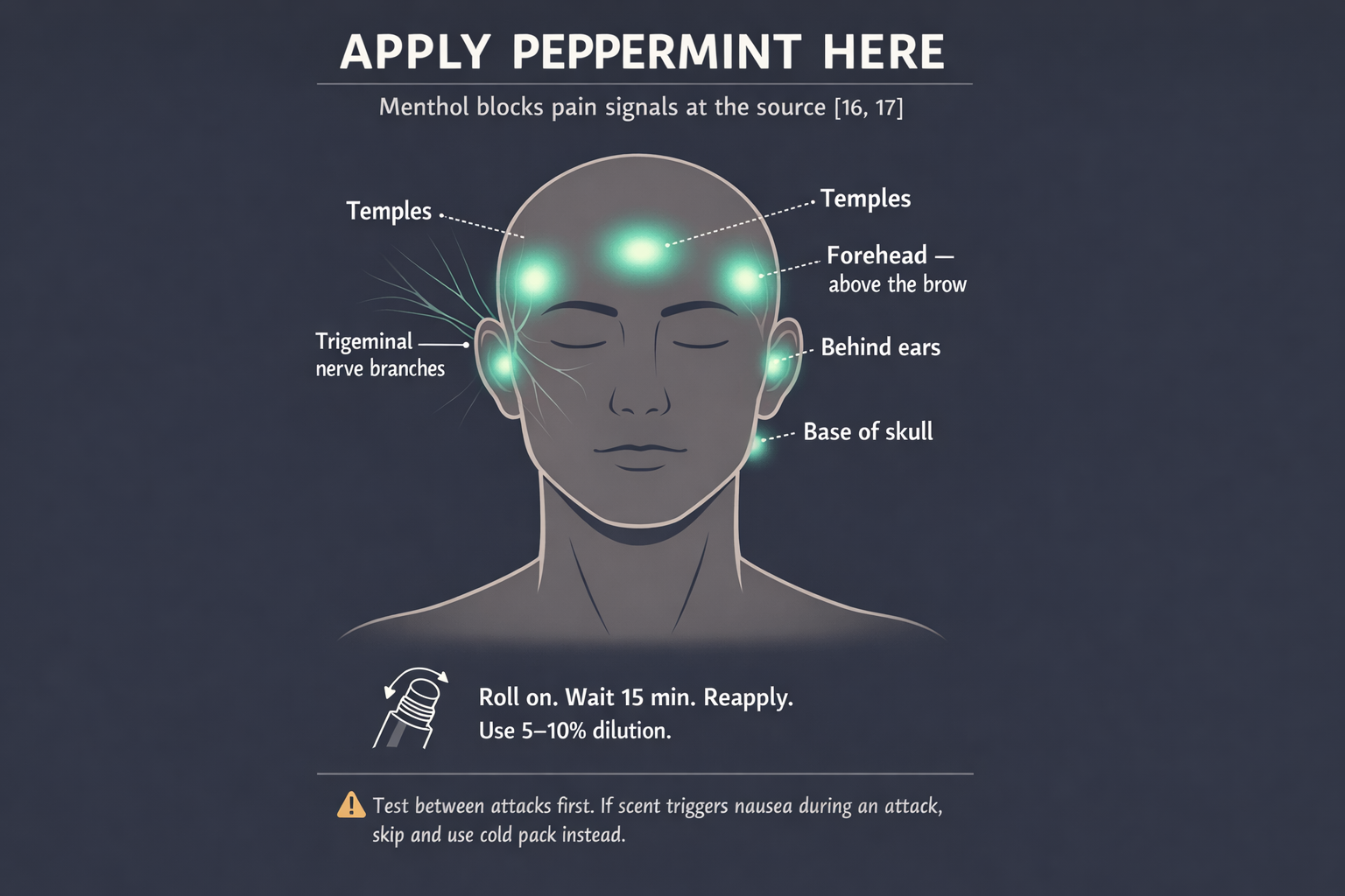 Apply Peppermint Here — trigeminal nerve application points for migraine pain relief