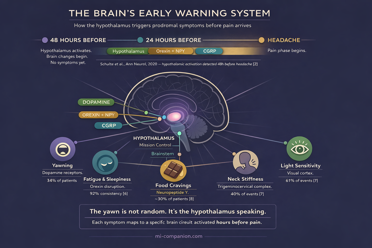 Scientific infographic showing the brain in sagittal cross-section with the hypothalamus highlighted, radiating outward to six symptom icons: yawning, fatigue, food cravings, neck stiffness, mood changes, and light sensitivity, with a 48-hour timeline above