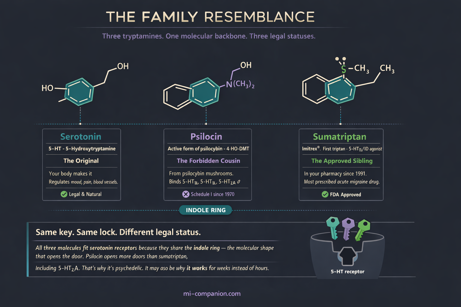 Scientific infographic comparing the molecular structures of serotonin, psilocin, and sumatriptan side by side — highlighting their shared indole ring in teal — with identity cards showing their roles and legal status