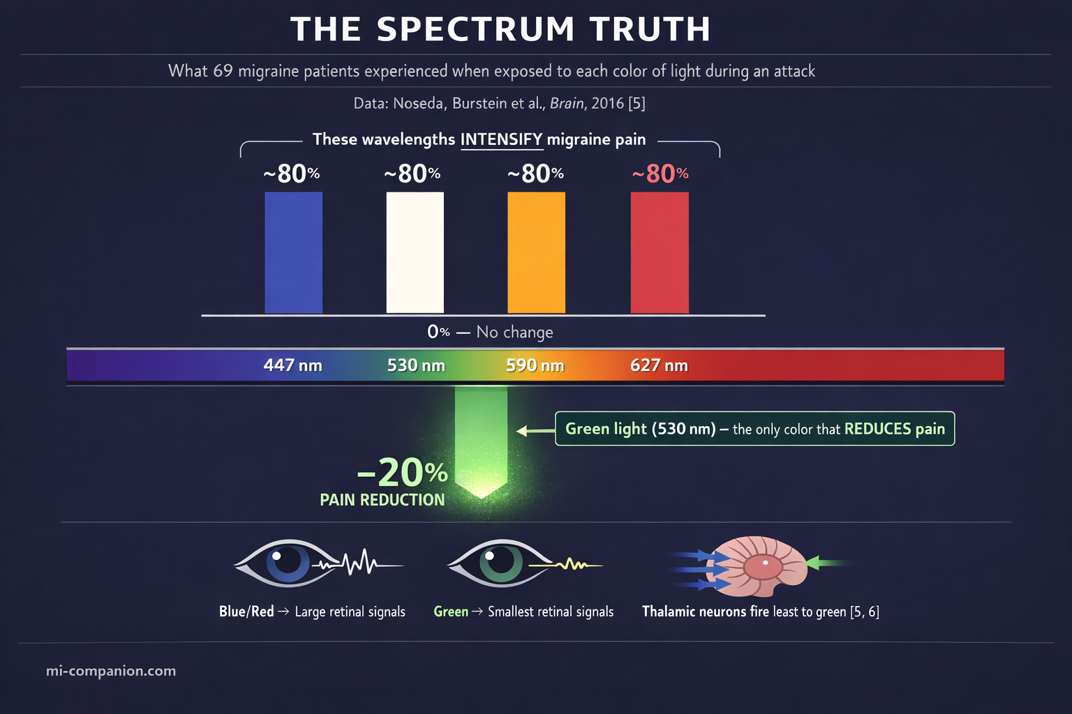 The Spectrum Truth — chart showing ~80% of migraine patients report worsened pain from blue, white, amber and red light, while green light (530 nm) reduces pain by approximately 20%