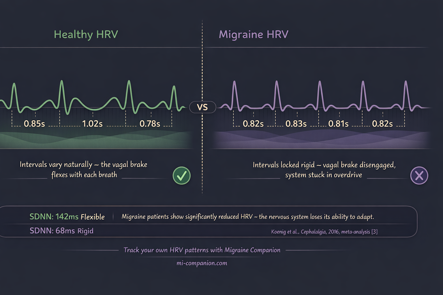 Side-by-side comparison of healthy heart rate variability showing varied, organic intervals versus migraine HRV showing rigid, locked intervals — the vagal brake disengaged