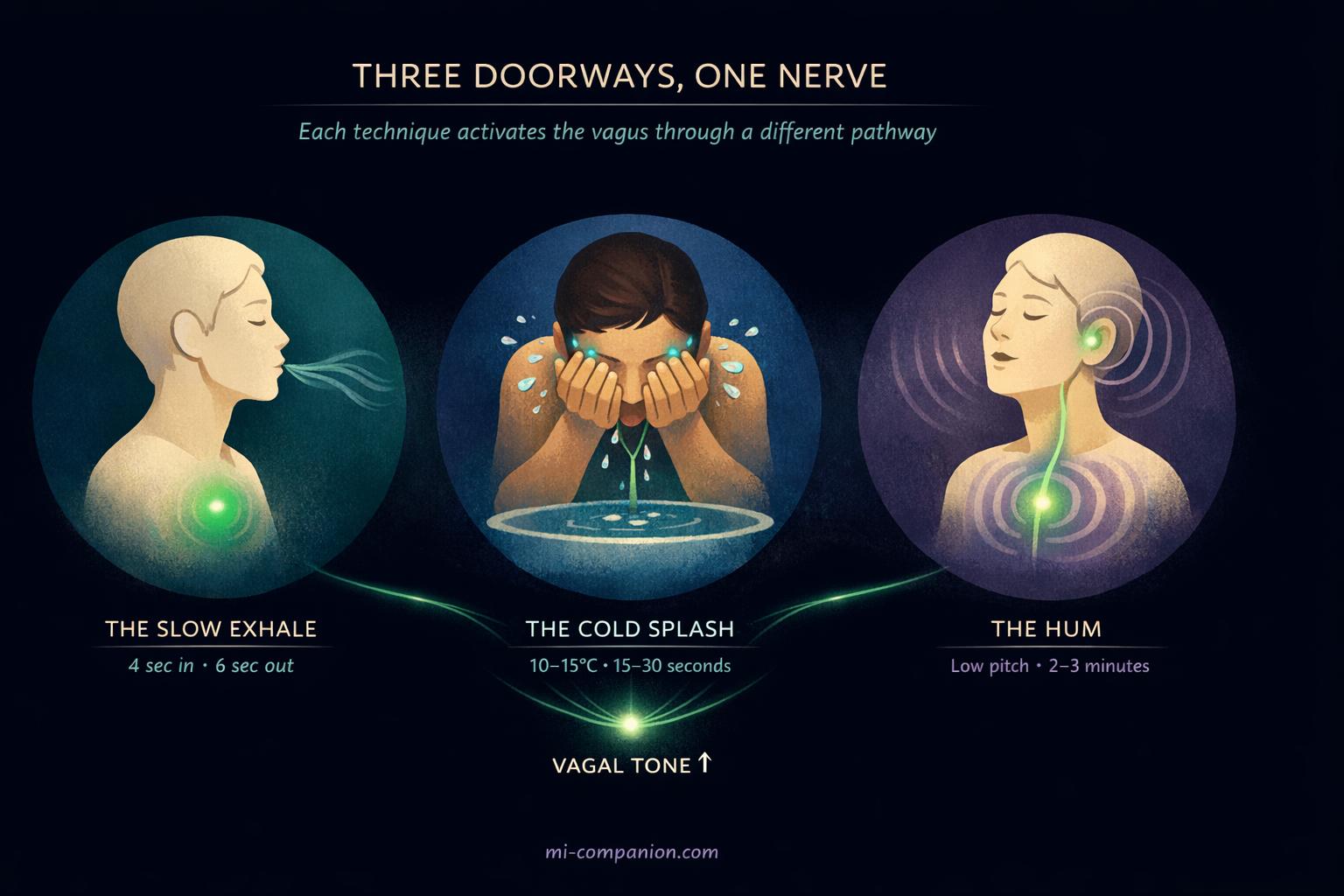 Three doorways, one nerve — triptych showing The Slow Exhale, The Cold Splash, and The Hum, each activating the vagus nerve through a different pathway, converging on vagal tone